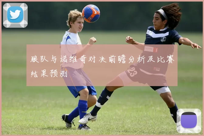 狼队与诺维奇对决前瞻分析及比赛结果预测