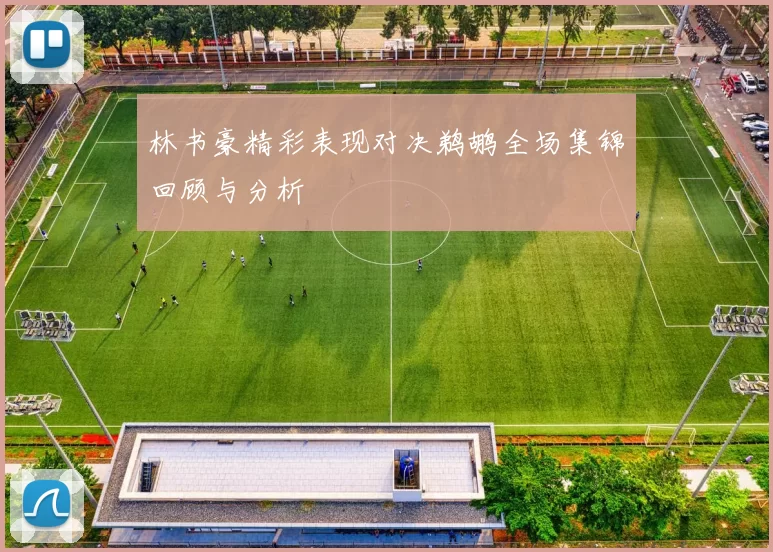 林书豪精彩表现对决鹈鹕全场集锦回顾与分析