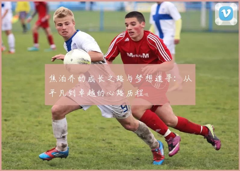 焦泊乔的成长之路与梦想追寻：从平凡到卓越的心路历程